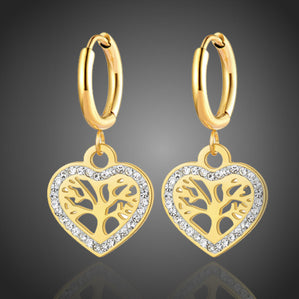 Náušnice srdcia z chirurgickej ocele Auroriana